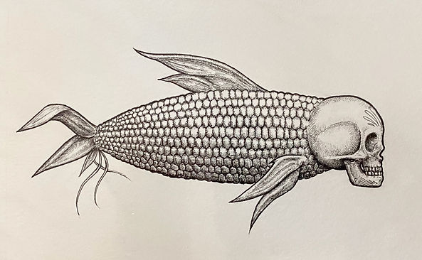 Lopez_Corn.jpeg