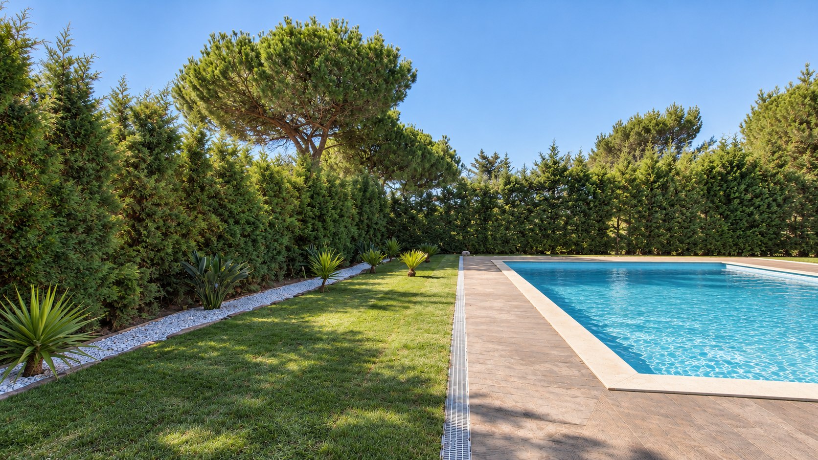 Jardim com relvado, sebes altas e piscina – manutenção de jardins em Cascais