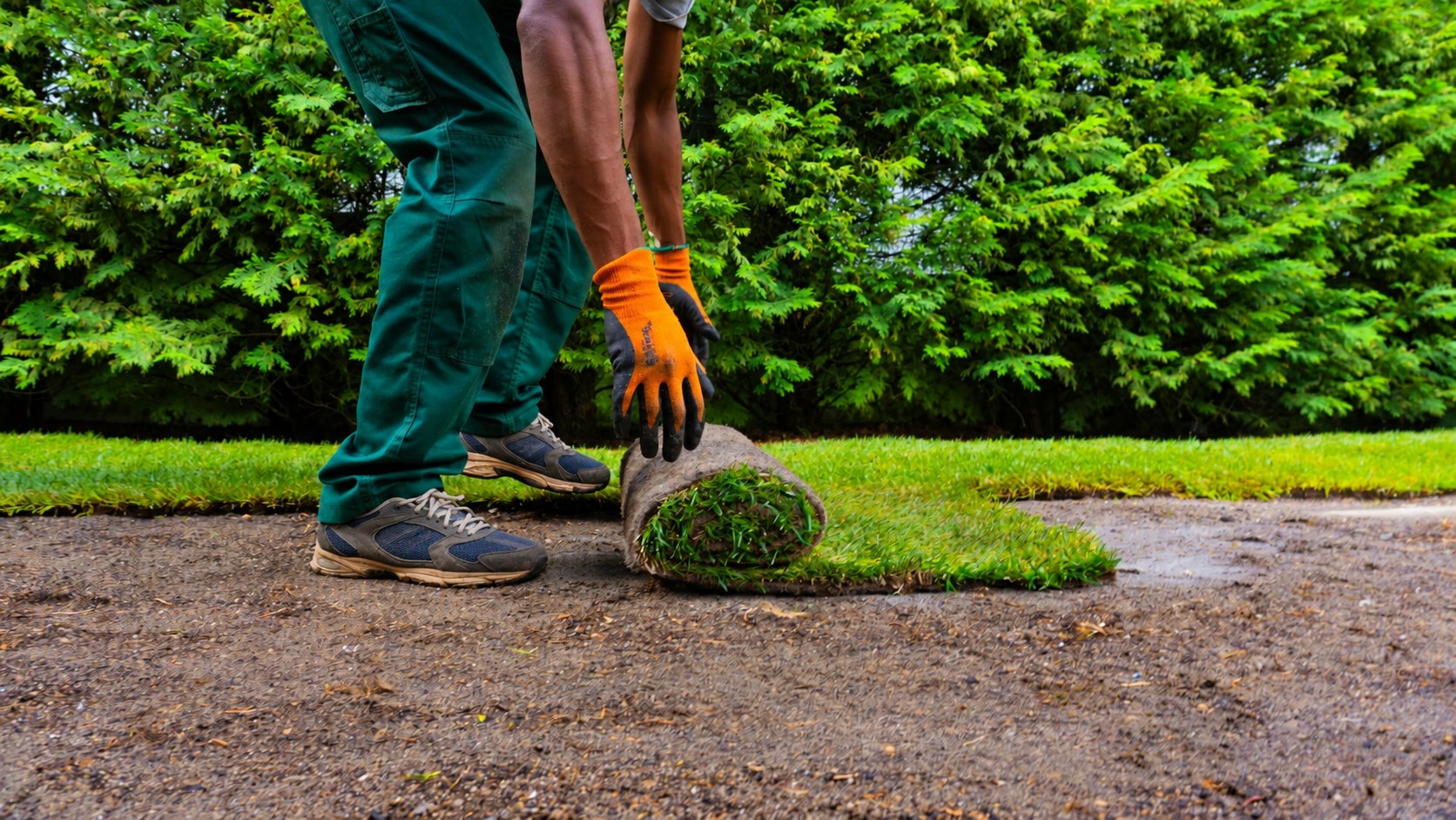 Jardinagem na Área Metropolitana de Lisboa: jardineiro da JMC Jardins a desenrolar relva natural em rolo
