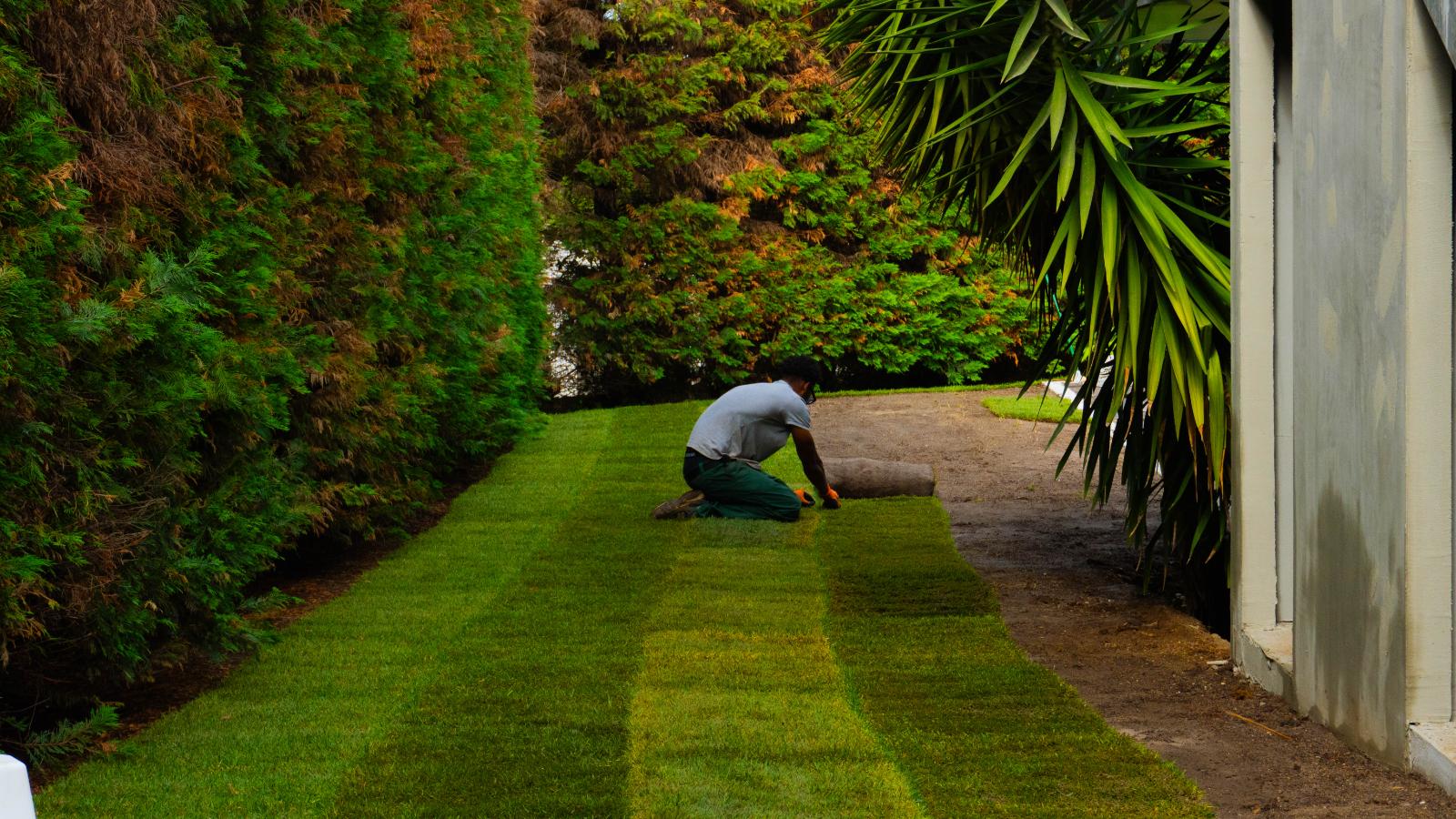 Equipa JMC Jardins a instalar relva natural num jardim privado – empresa de jardinagem em Lisboa