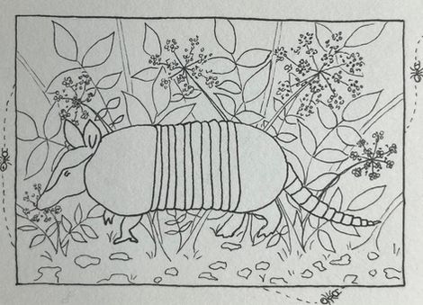 Armadillo with angelica flowers and ants