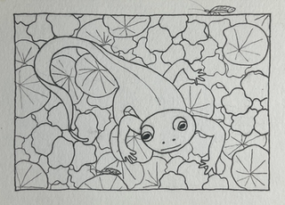 Black and white illustration of a newt in a bed of nasturtium looking at a neuroptera insect. Alcohol-based black ink on white mixed media paper. Dimensions: 2.5" x 3.5".