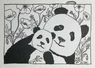 Black and white illustrations of Pandas with poppies and praying mantis. Alcohol-based black ink on white mixed media paper. Dimensions: 2.5" x 3.5".