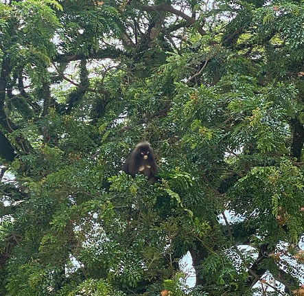 WhatsApp Image 2024-02-17 at 10.55.30.jpeg