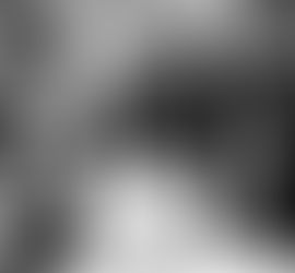 Dr. Wendy Suzuki: Nörobilimin Gücüne İnanan Bir Kadının Hikayesi