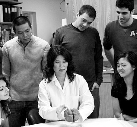 Dr. Wendy Suzuki: Nörobilimin Gücüne İnanan Bir Kadının Hikayesi