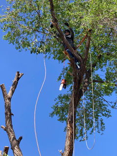 rigging.line.colorado.springs