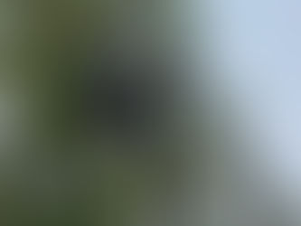 Friction in rigging - May 15