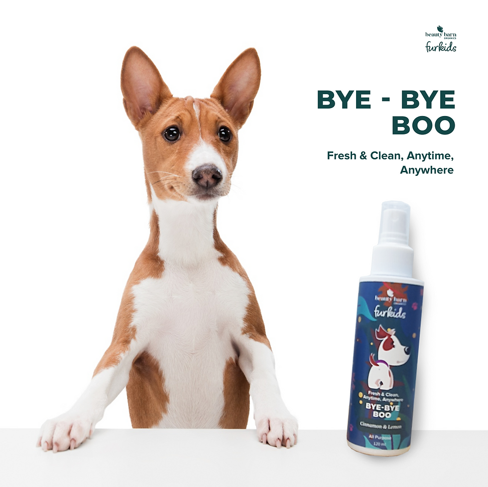Copy of Bye Bye Boo.png