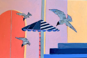 Laughing Gulls