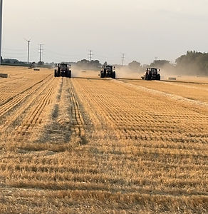 Strieter Hay Farms