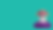 VAMOOSH-ABOUT-BANNER.png