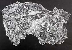 Paper Bag Study (2017)