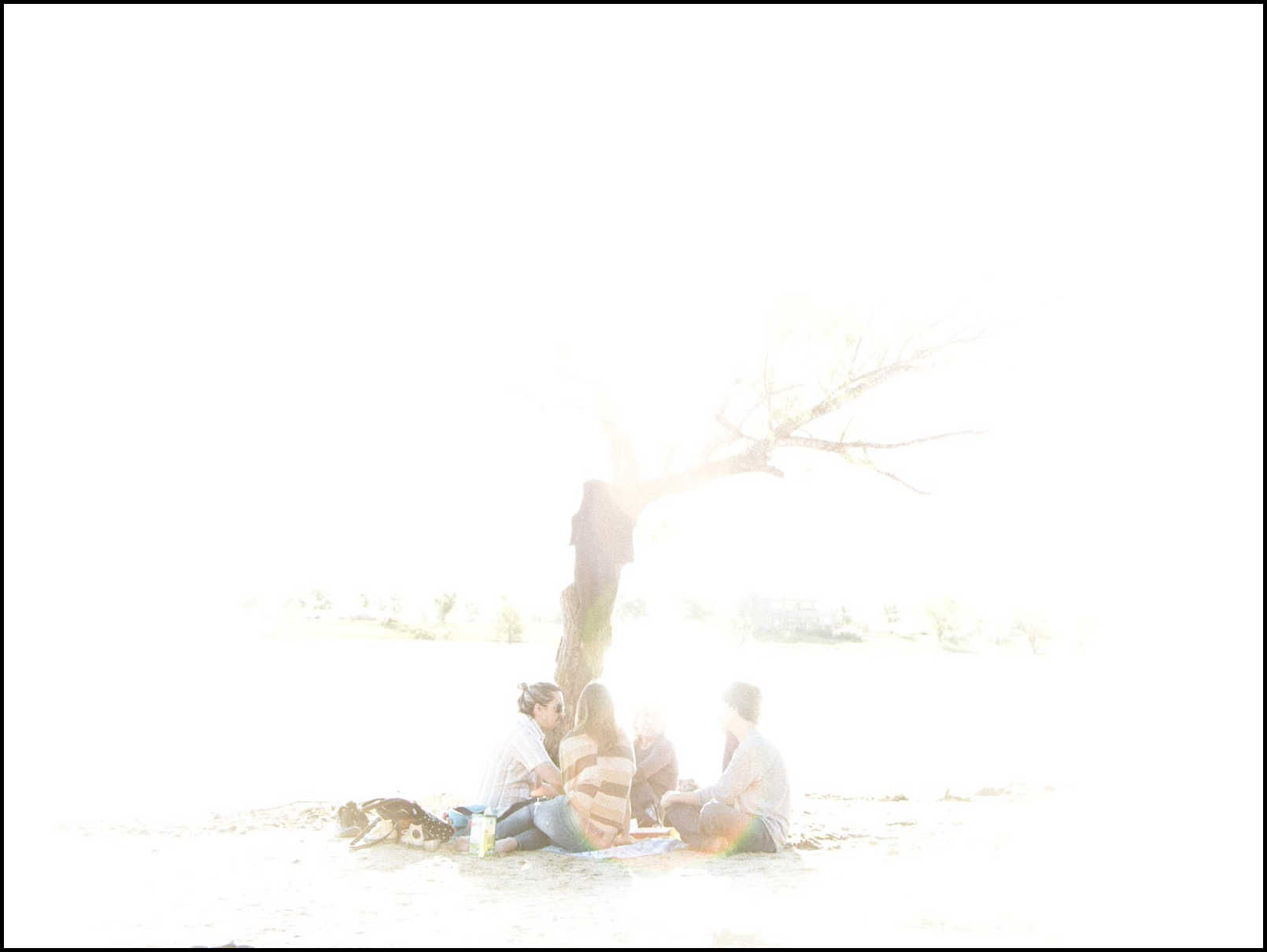 AMIGXS ÀRBOL (proy. SOLEADXS)