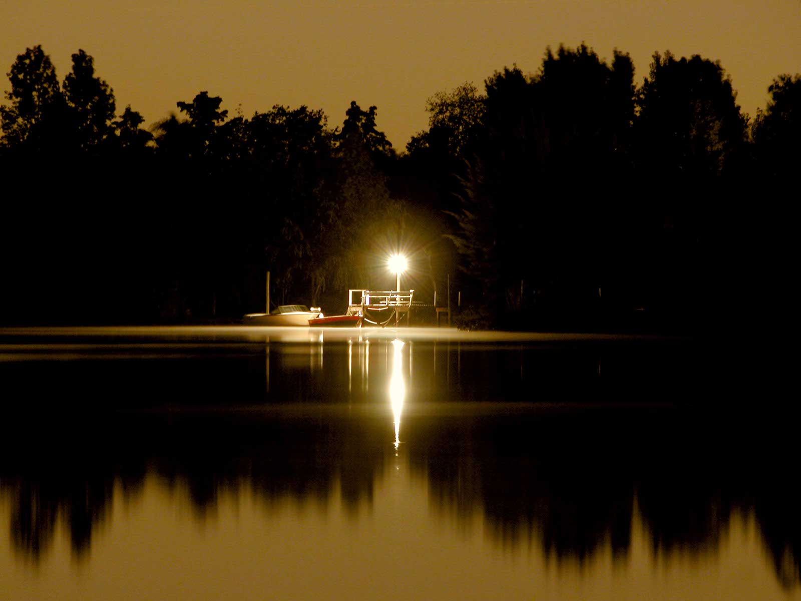 LANCHITA (proy. LA NOCHE TIGRE) / Edición Numerada