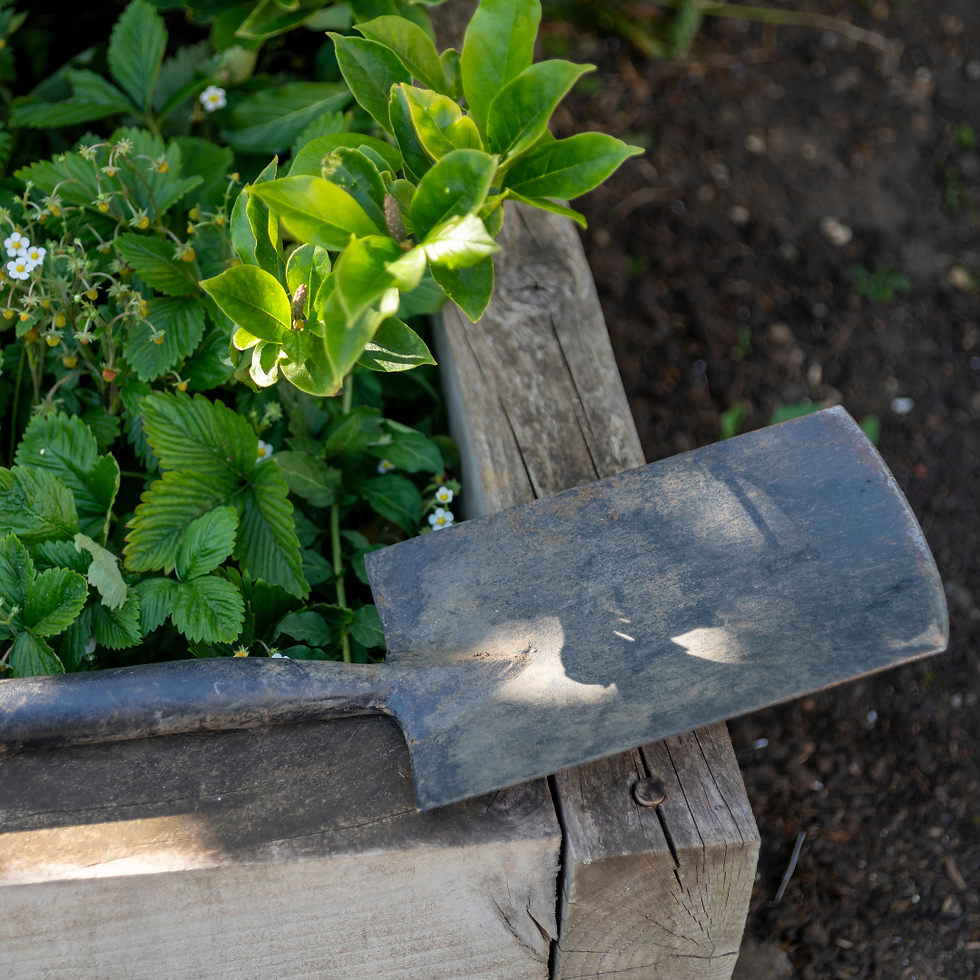 Spade on a raised planting bed
