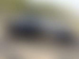 Porsche GT4RS en GT3RS