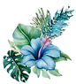 104988056 copy_edited_edited_edited.png