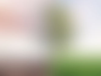 Environmental rules rollback attempts continuing