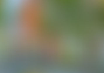 Jewish Federation of Detroit is TCH buyer