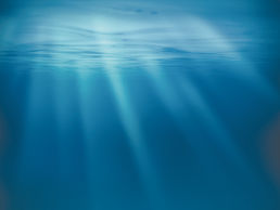 Agriculture gains pose aquatic life concerns