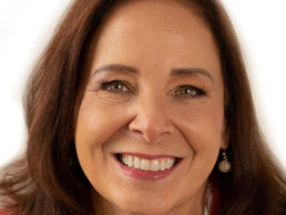 MICHIGAN HOUSE 54TH DISTRICT