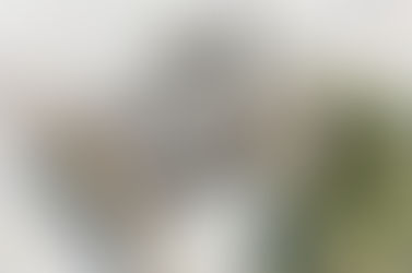 Rethinking the cities for Millennials, Baby Boomers