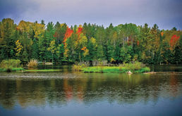 Climate haven: Will Michigan be a future refuge?