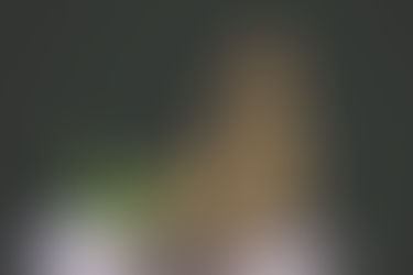 Dream Cruise cannabis vendor closed by police