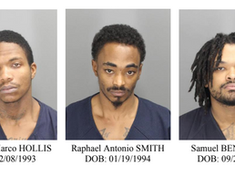 Stolen vehicle crime spree leads to arrests