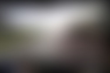 Riding into the future