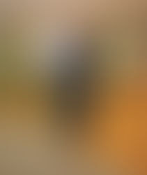 Bradley Ahlgren and Hal Zaima