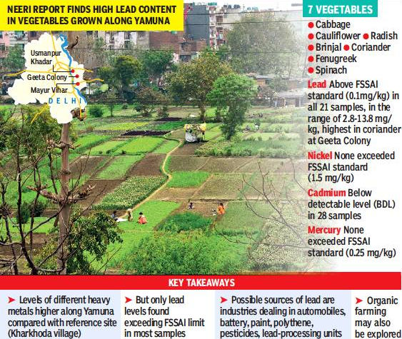 Yamuna veg.jfif