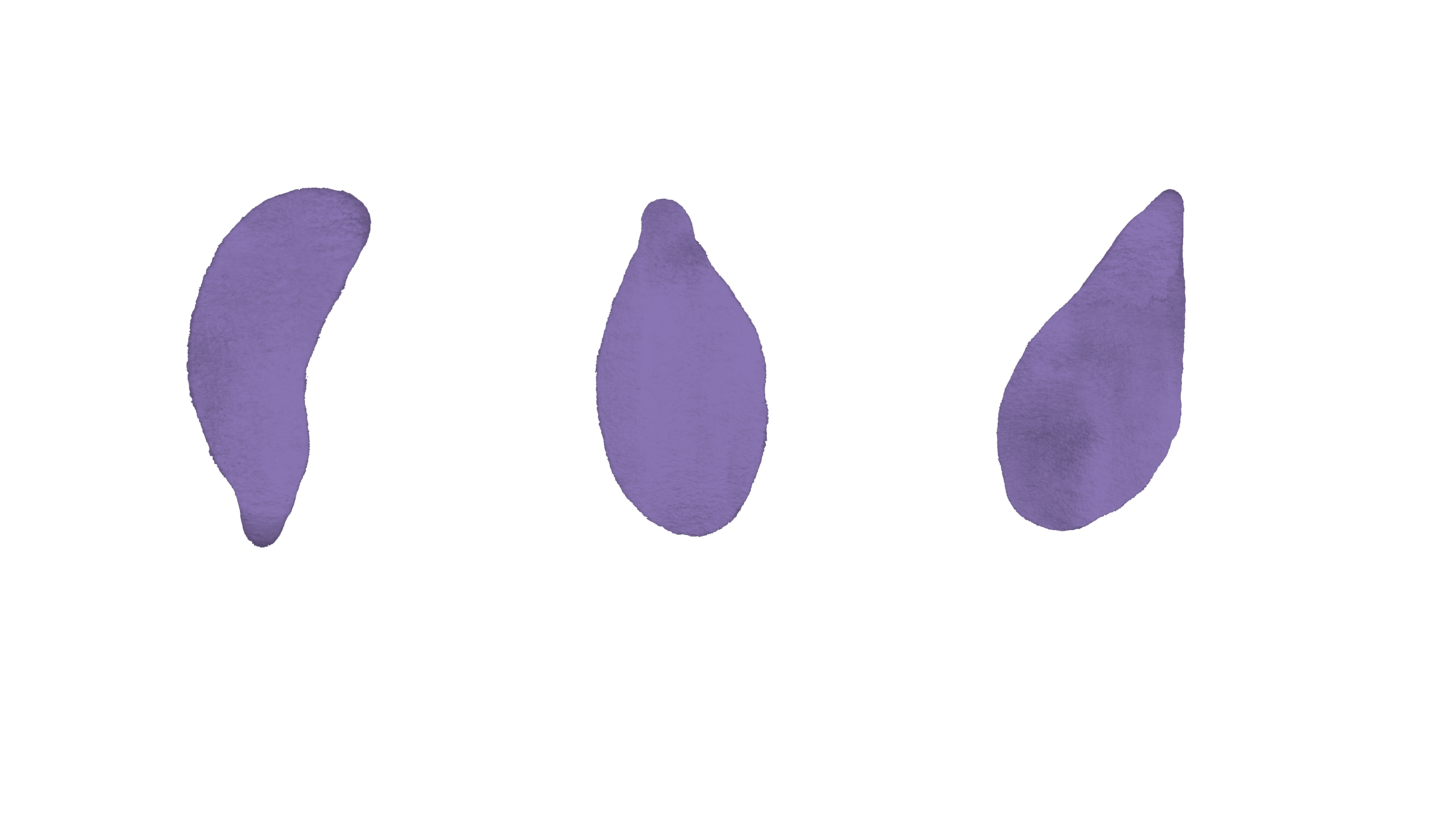 IMG_1926.GIF