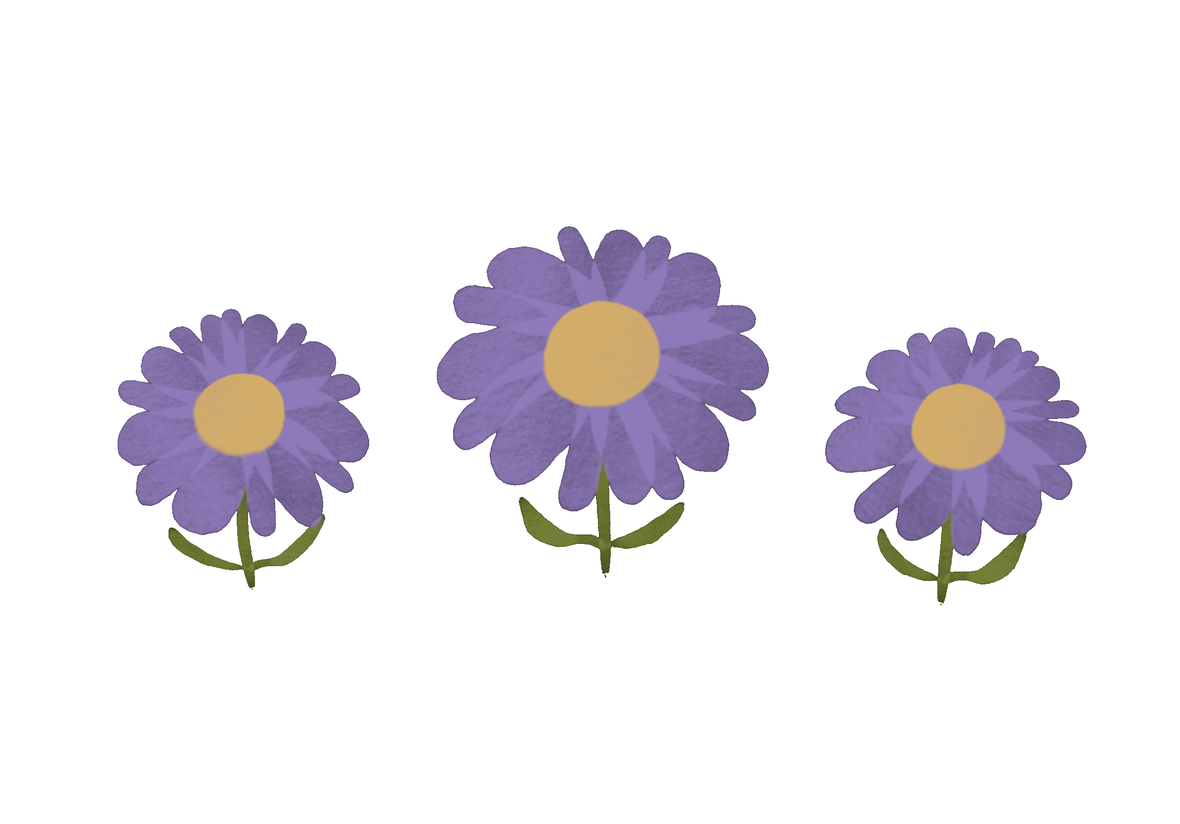 IMG_1906.GIF