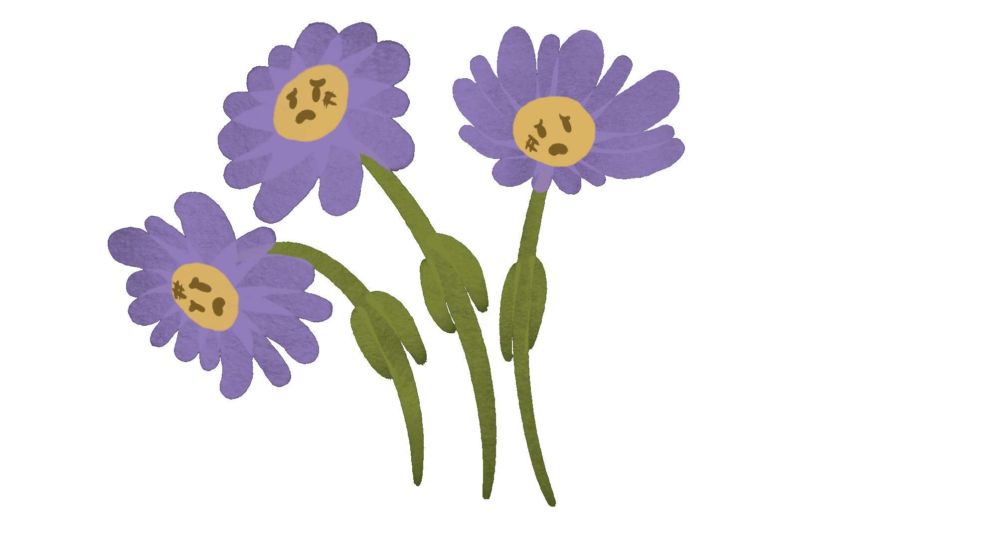 3b-3d_faces_with_flower.GIF