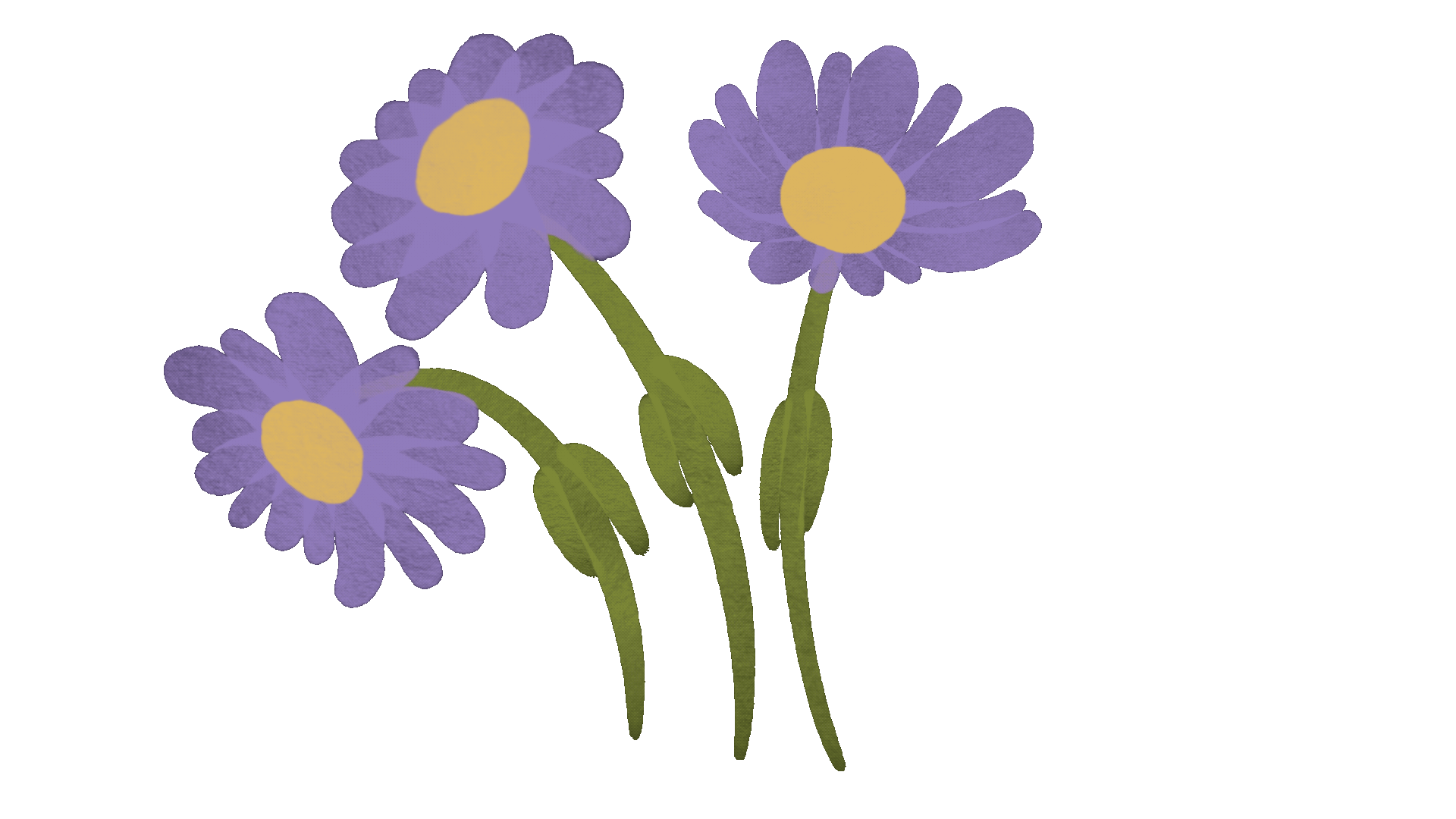 IMG_1957.GIF