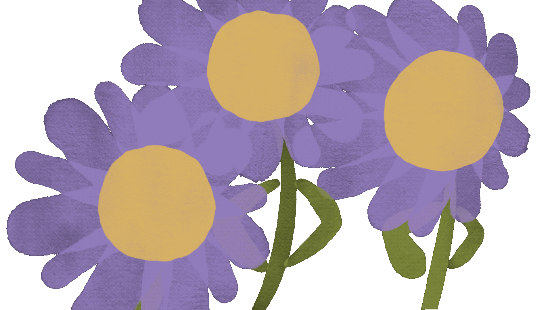 IMG_1921.GIF