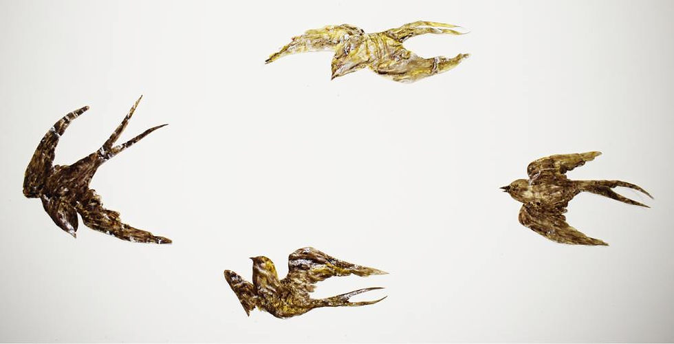 Lightness That We Bare