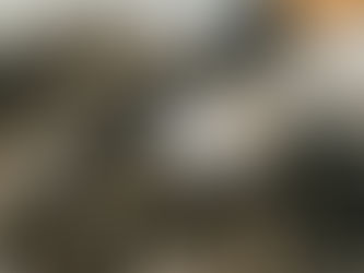 The Value of Continual Oil Changes: Increasing Engine Life and Performance