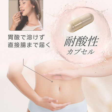 ランタHPエターナリフトSP版① (6).jpg