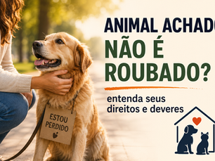 Animal achado não é roubado? Entenda seus direitos e deveres.