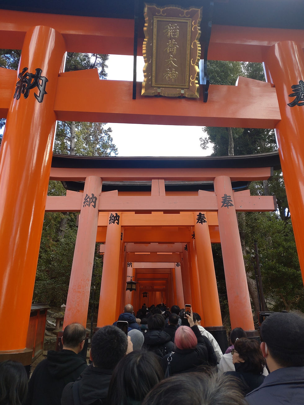 千本鳥居はおもかる石で付近でUターン(;゚ロ゚)