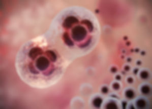 beautiful-fertility-concept-3d-rendering (1).jpg