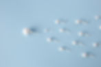 high-angle-spermatozoa-with-blue-background.jpg