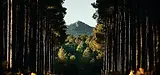 backdrop.webp