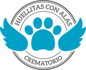 Logotipo Huellitas con Alas.png