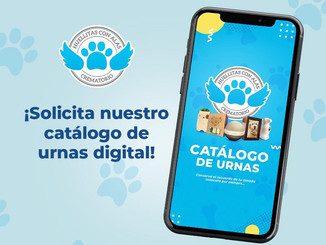Catálogo de Urnas