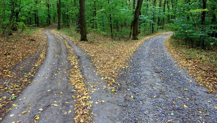 Agent vs Publisher - which path is right for you?