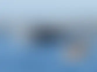 #Resumen Alarma en las costas mexicanas: 84 ballenas grises muertas en lo que va de 2025